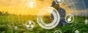 TRANSFORMAÇÃO DIGITAL NO AGRONEGÓCIO: POR QUE A CONECTIVIDADE É O PONTO DE PARTIDA?